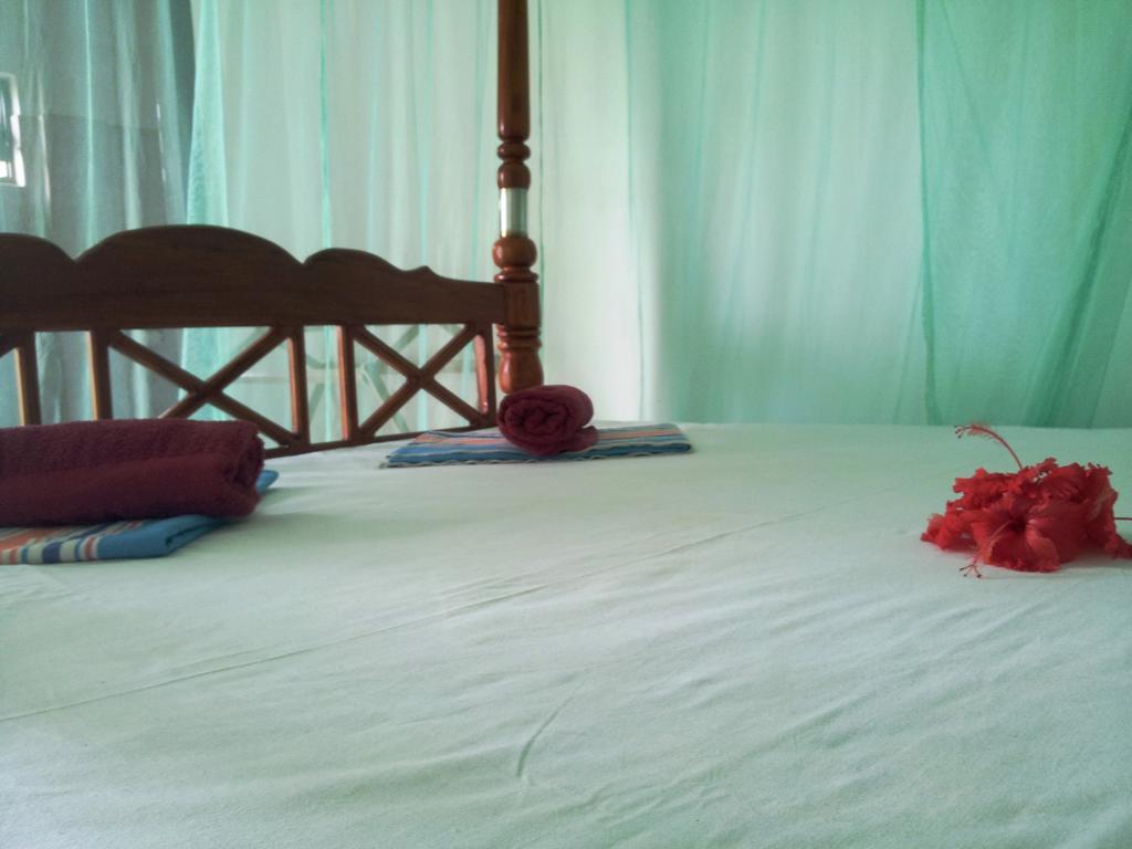 Rainbow Guest House Mirissa Esterno foto